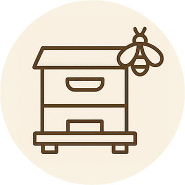 Bee Hive Boxes